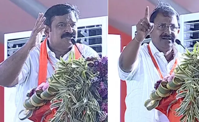 BJP MLA Vishnu Kumar Raju Slams Chandrababu Naidu In Visakapatnam - Sakshi