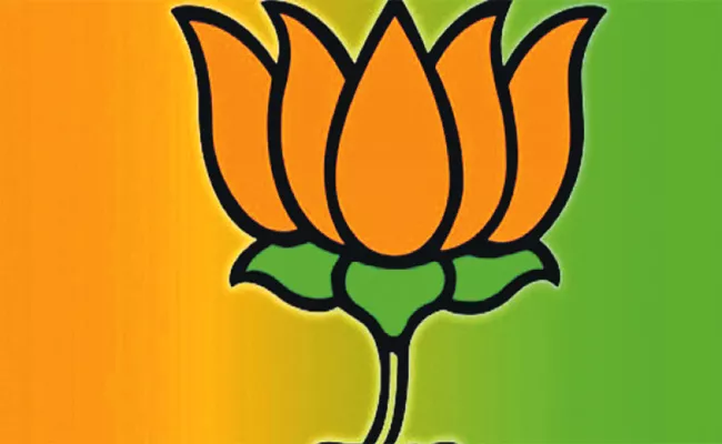 BJP Graph in Telangana Lok Sabha Election - Sakshi