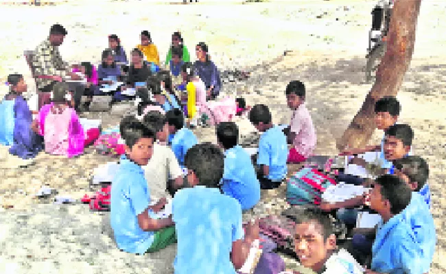 Students Studying Under The Trees - Sakshi