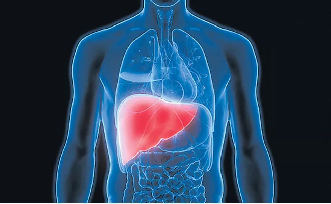 People with diabetes must be more careful with liver tests - Sakshi