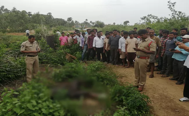 Auto Driver Commited Sucide In Srikakulam - Sakshi