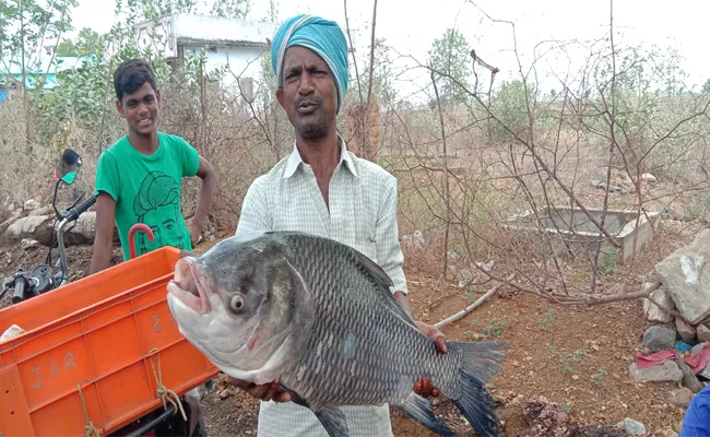 13 KGs Fish In Kinnerasani Reservoir  - Sakshi