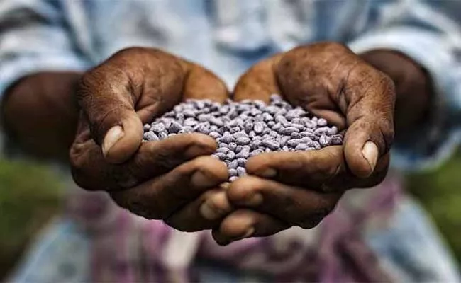 Fake Cotton Seeds From Gadwal to Kurnool - Sakshi