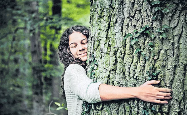 Forest Therapy Relaxing Methods - Sakshi