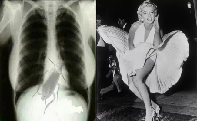 Do Not Believe This Bizarre Story Of Marilyn Monroes X ray - Sakshi
