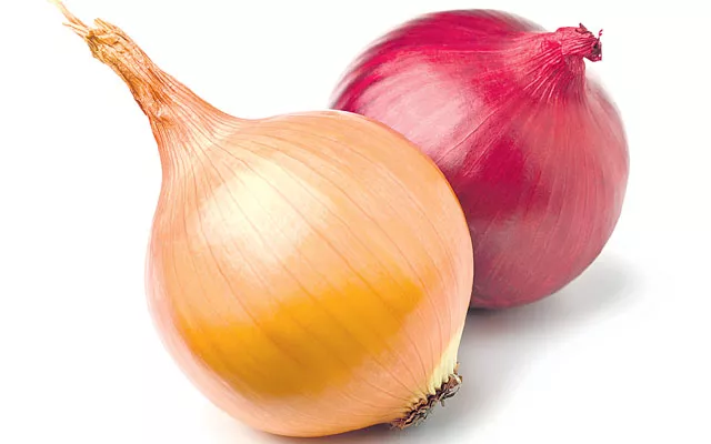 The Price Of Onions Has Gone Up During The Maharashtra And Haryana Elections - Sakshi