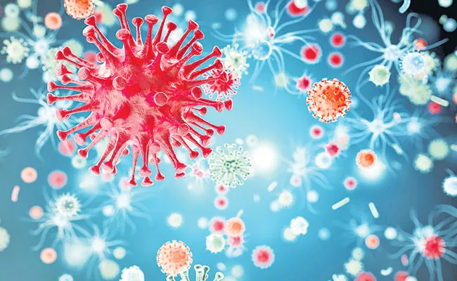 Washington University Scientist Latest Research On The Flu Virus - Sakshi