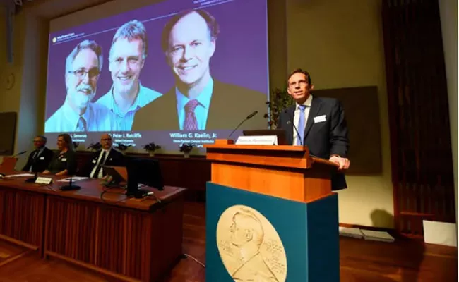 Nobel Medicine Prizes Announced In Stockholm - Sakshi