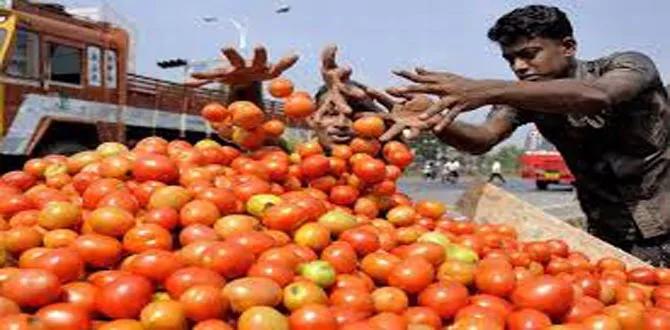 After Onions Retail Price Of Tomatoes Shot Up - Sakshi
