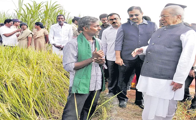 Biswabhusan Harichandan Inspection of Natural Farms in Rangannagudem - Sakshi