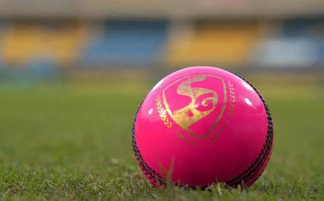 Day Night Test: What is Difference Between Pink Ball and Red Ball - Sakshi