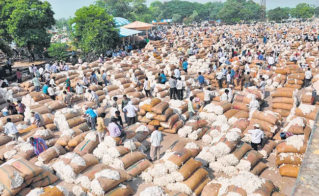 Huge Cotton into the Warangal agricultural market on 25-11-2019 - Sakshi