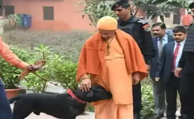 UP CM Yogi Adityanath Pet Dog Kalu Become Internet Celebrity - Sakshi