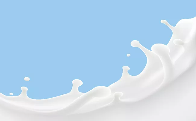 Vijaya Milk Prices Increased To Rs 44 - Sakshi