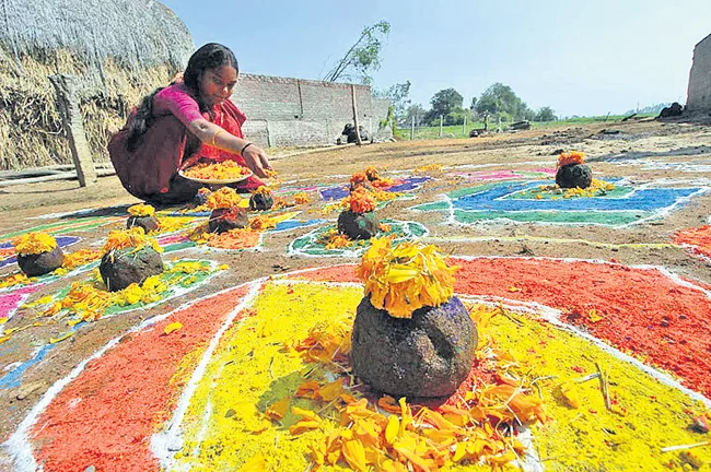 Sankranti Festival Celebrations in Andhra Pradesh - Sakshi