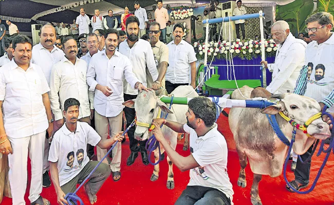 YS Jaganmohan Reddy Participated in the Sankranti Celebrations - Sakshi
