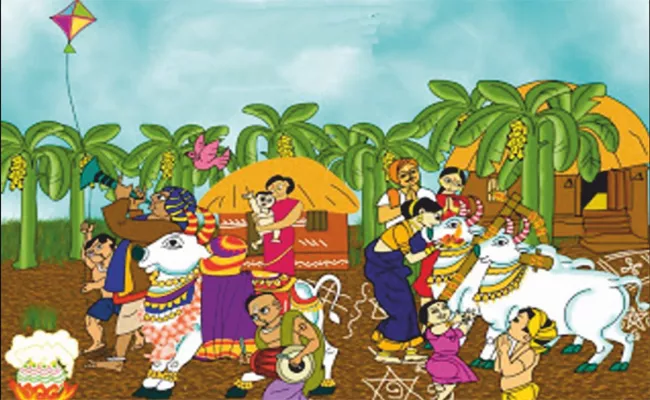 Sankranthi Festival Customs And Traditions - Sakshi