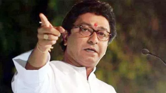 Raj Thackeray warns of befitting reply to rallies against CAA and NRC - Sakshi