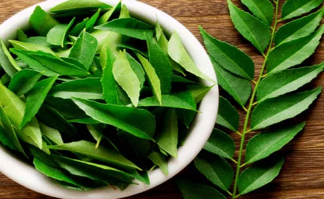Health Benefits With Curry Leaves Like Weight Loss Hair Growth Better Digestion - Sakshi