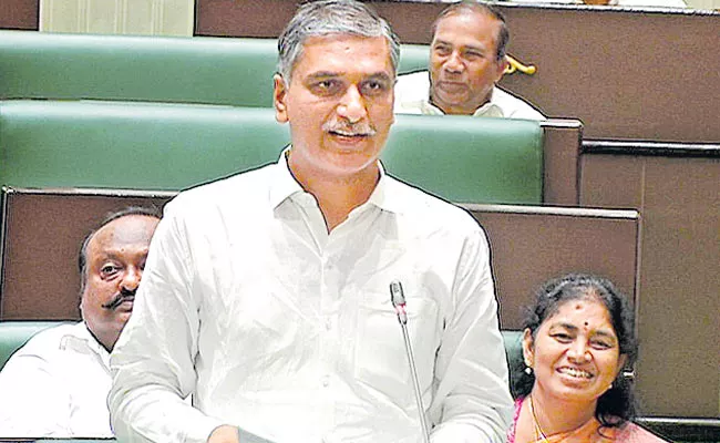 Harish Rao Briefly Discuss On Telangana Budget In Assembly - Sakshi