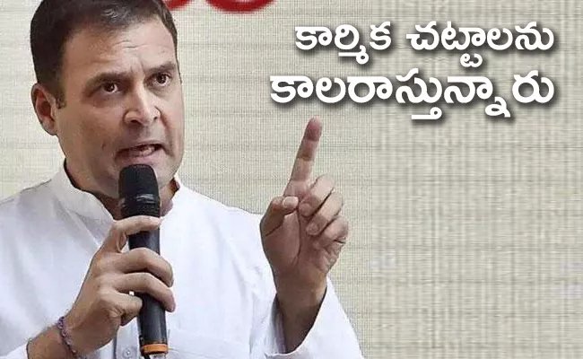 Protecting the Rights of Workers, Says Rahul Gandhi - Sakshi
