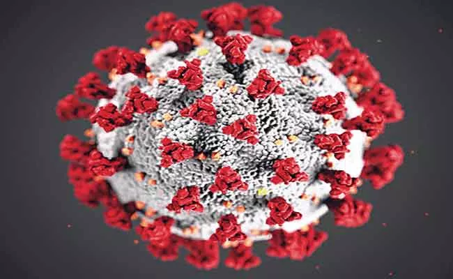 Coronavirus :74 New Positive Cases Reported In Telangana - Sakshi