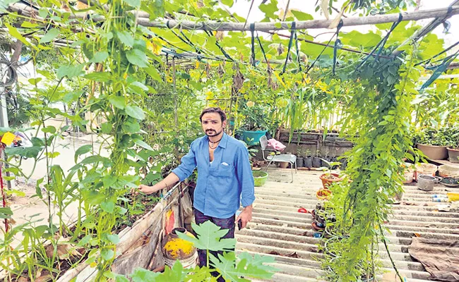 Poojari of the home crops - Sakshi