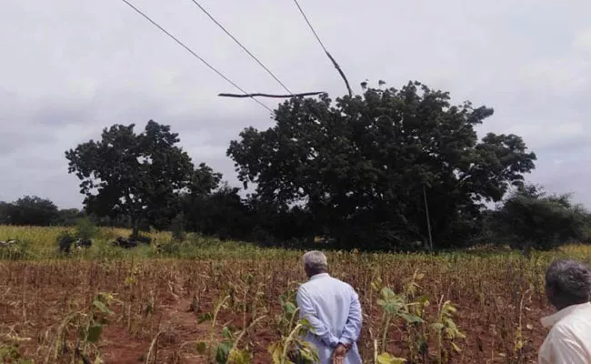 Electrocution Accidents Increased Northern Telangana - Sakshi