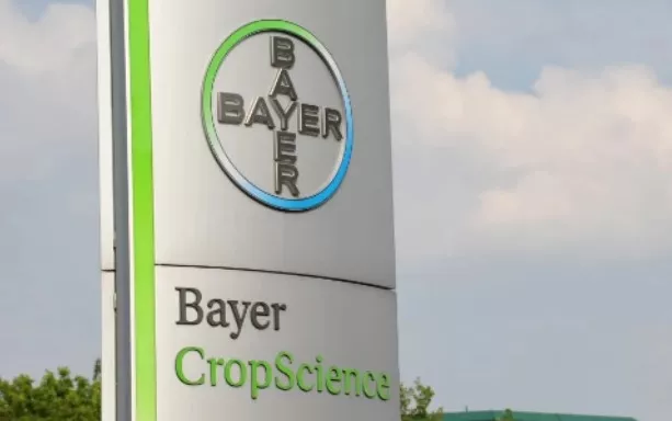 Bayer cropscience- Torrent power hits new highs - Sakshi