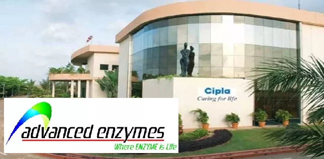 Advanced enzyme- Cipla ltd jumps - Sakshi