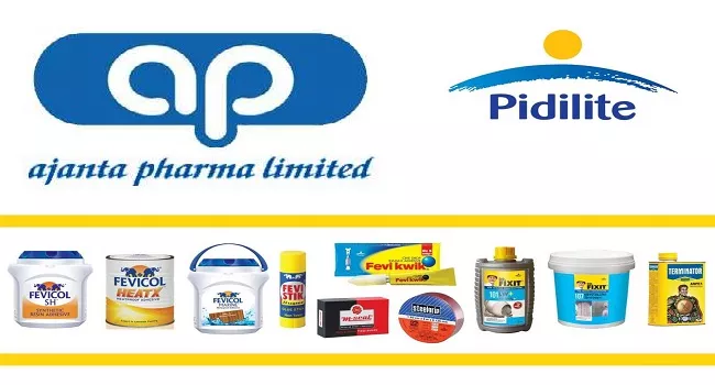 Pidilite industries- Ajantha pharma up on positive news - Sakshi