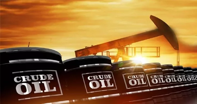 Crude oil prices plunges on covid-19 lockdown worries  - Sakshi