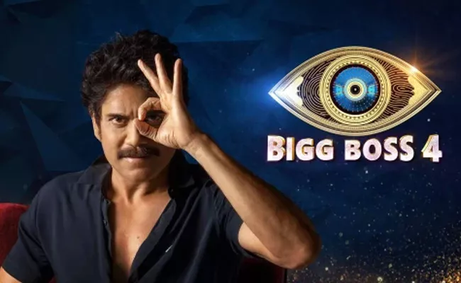 Bigg Boss 4 Telugu : 12th Week  No Elimination - Sakshi