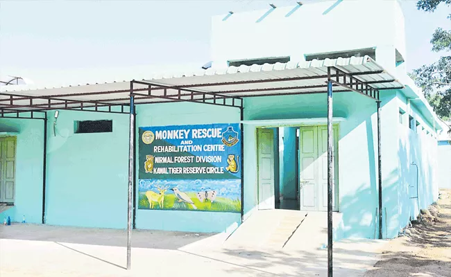 Monkey Fertility Control Center Establishing In Nirmal - Sakshi