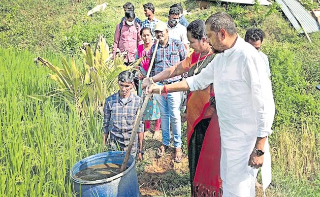 YSRCP MP Bellana ChandrSekhar Doing Nature Farming - Sakshi