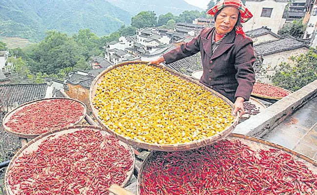 Devender Sharma Article On Food Import, China Lessons - Sakshi