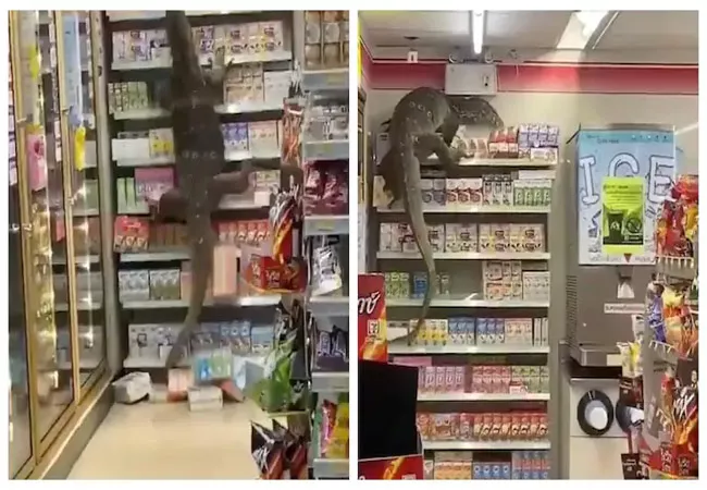 Monitor Lizard Goes Shopping At A Thailand Department Store In Viral Video - Sakshi