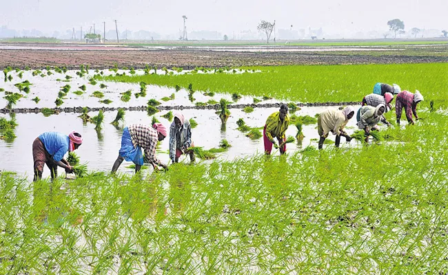 AP Govt plans to release water to kharif crops - Sakshi