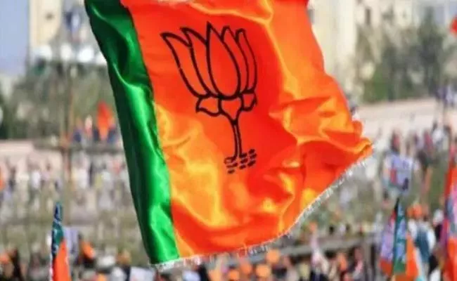 UP Panchayat Elections: BJP Lags Behind SP In Strongholds - Sakshi