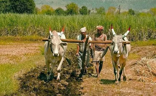 42 Lakh Ineligible Farmers Under PM-KISAN Scheme: Tomar - Sakshi