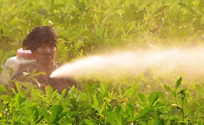 27 Pesticides Banned Says Union Minister Narendra Singh Tomar In Rajya Sabha - Sakshi