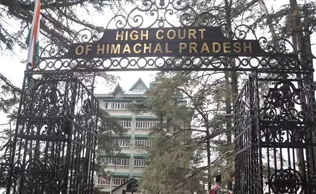 High Court of Himachal Pradesh Said Pregnant Woman Needs Bail Not Jail - Sakshi