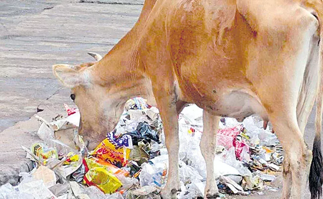 Austria Scientists: Enzymes In Cow Stomach Can Break Plastic - Sakshi