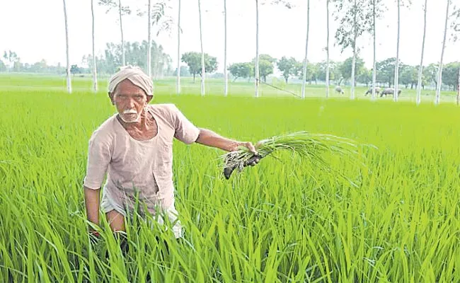 Telangana: Banks Are Negligent In Giving Crop Loans To Farmers - Sakshi