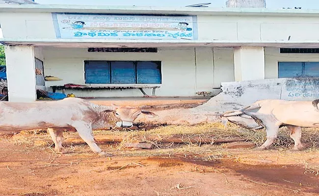 School Building Turned Into Cattle Shed - Sakshi