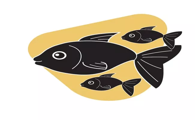 Telangana Govt Start Free Fish Distribution Programme - Sakshi