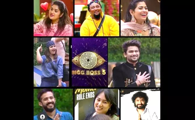 Bigg Boss Telugu 5: Nataraj And Anee Master High Elimination Chances - Sakshi
