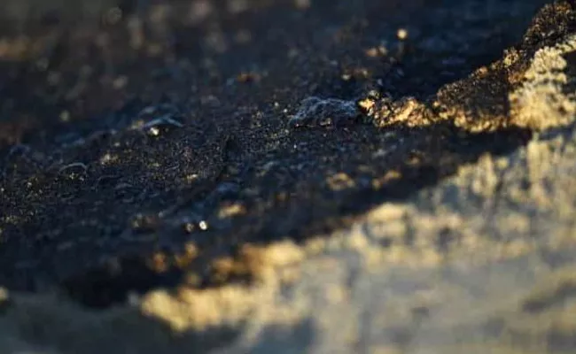 California Oil spill Due To Pipeline Leak - Sakshi