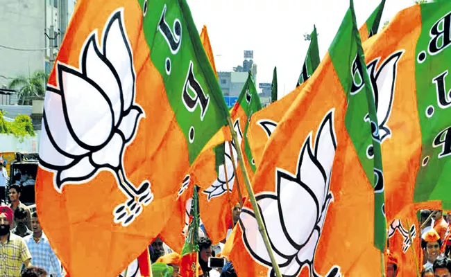 New National Executive Committee for BJP - Sakshi
