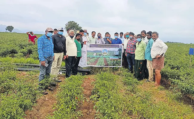 Rythu Bharosa centers Staff Helps Farmers For worm prevention - Sakshi